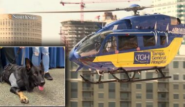 K9 Ace becomes first canine patient saved by Tampa General Aeromed