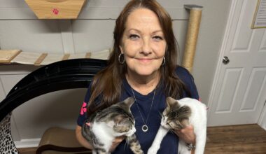 Kathy Montgomery runs Nine Lives Kitten Rescue