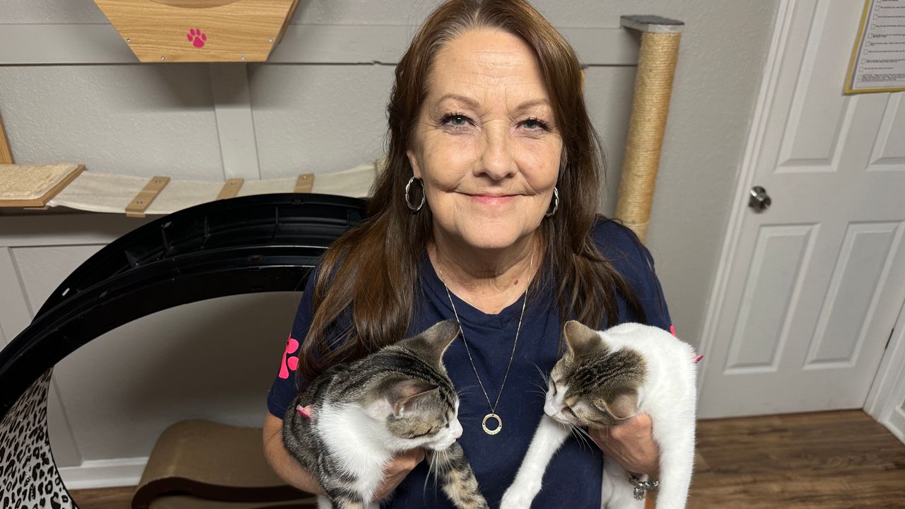 Kathy Montgomery runs Nine Lives Kitten Rescue