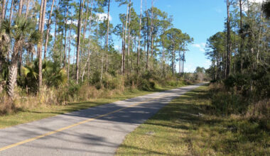 Florida's Scenic Rail Trail Near Orlando Takes Hikers And Bikers Through Forests And Wetlands