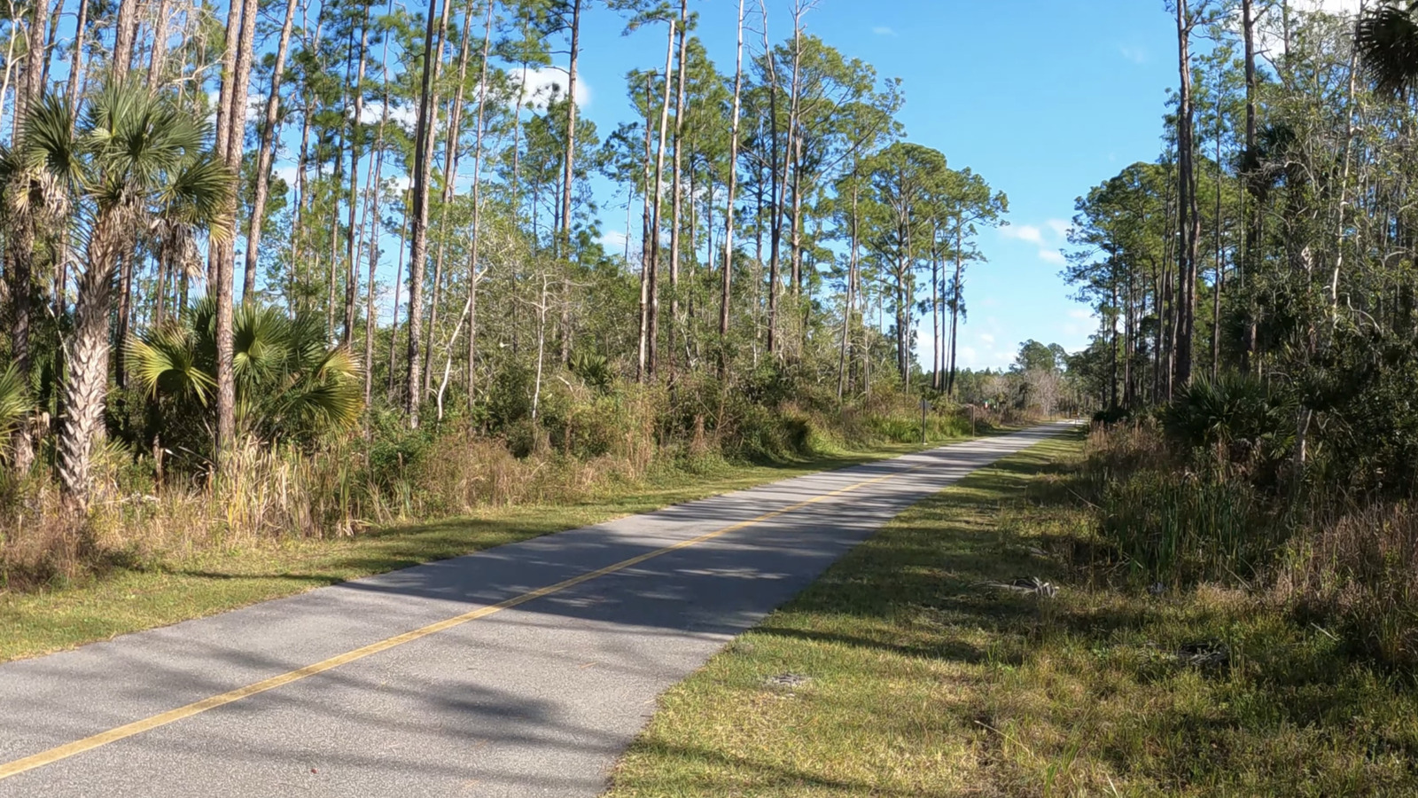 Florida's Scenic Rail Trail Near Orlando Takes Hikers And Bikers Through Forests And Wetlands