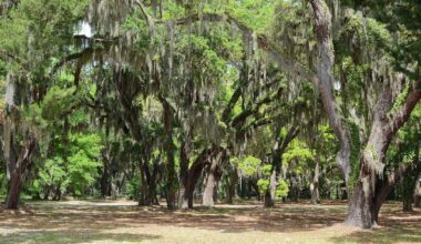 Between Jacksonville And Savannah Is Georgia's Scenic Island Park With Disc Golf, Fishing, And Boating