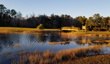 Between Savannah, Georgia And Jacksonville, Florida Is An East Coast Park With Camping And A Lake To Fish In