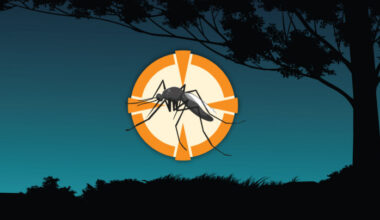 Illustration of a mosquito in an orange target
