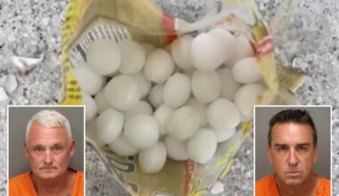 Florida business owners allegedly dumped mothballs on beach to scare off birds