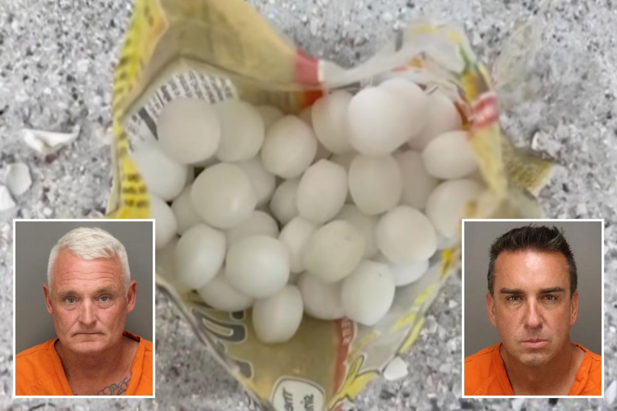 Florida business owners allegedly dumped mothballs on beach to scare off birds