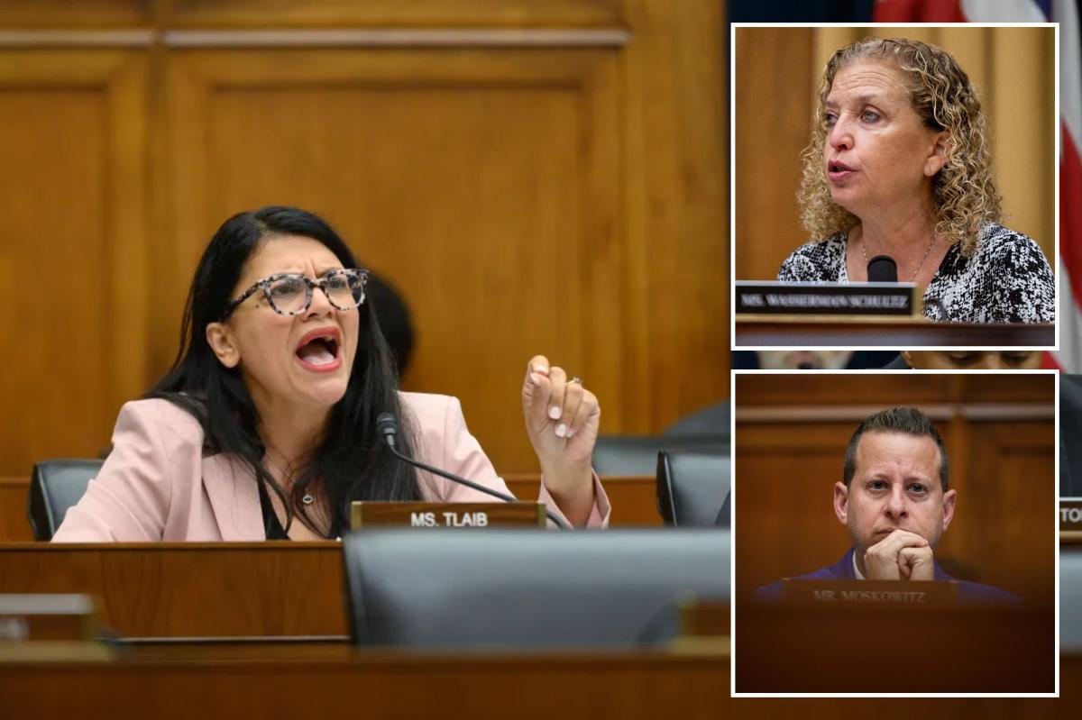 Rashida Tlaib slammed for targeting Jewish House Democrats in Florida
