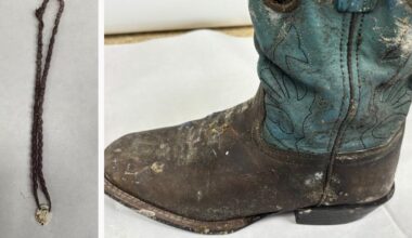 Investigators with the Orange County Sheriff's Office are asking for the public's help in identifying human remains found near the Lake Ellenor marshland on Aug. 13. (Photo: Orange County Sheriff's Office)
