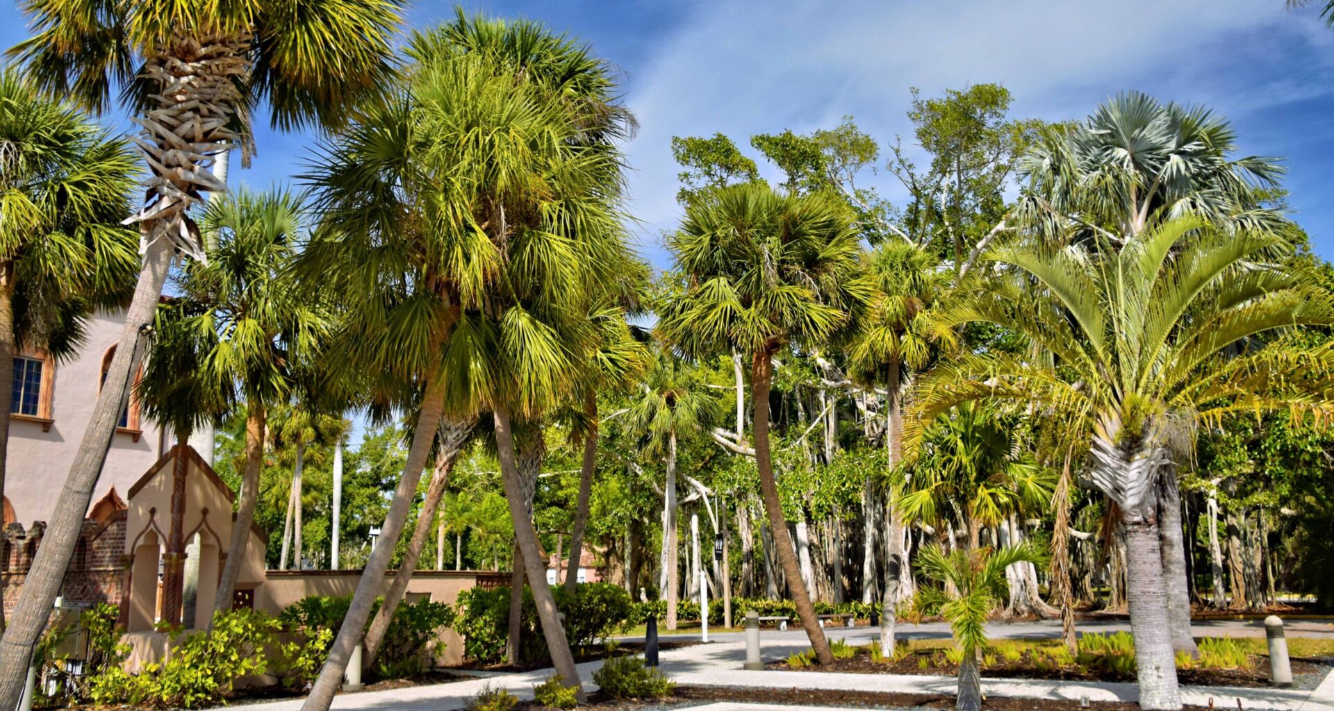 Why Residents are Switching to Native Landscaping