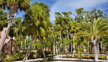 Why Residents are Switching to Native Landscaping