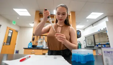 REU summer program