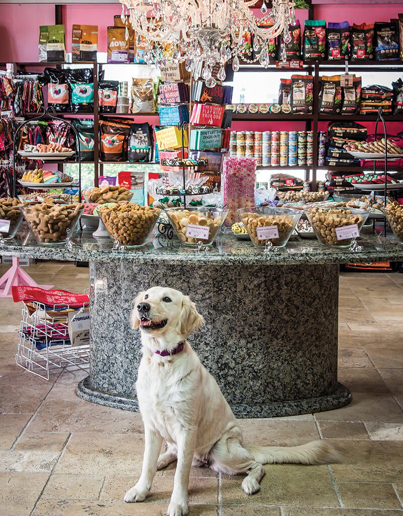 Best of ORL 2026: Kids & Pets Winner Spotlights