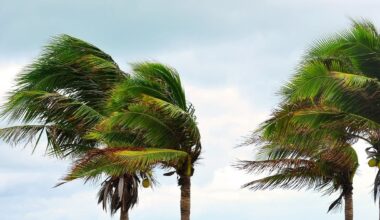3 Areas Eyed For Tropical Development In Atlantic: What This Means For FL