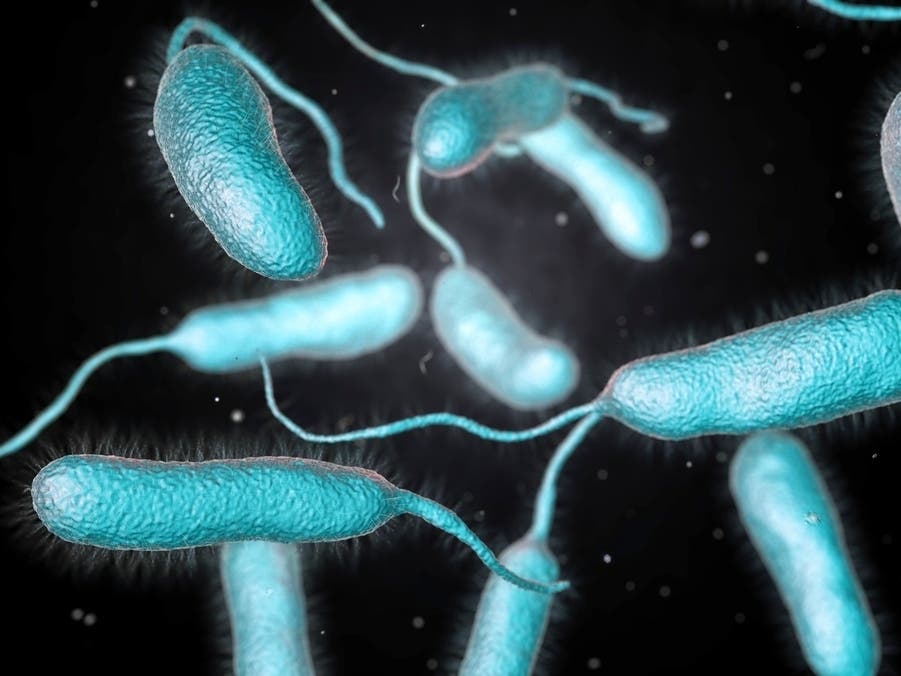 FL Reports 3rd 'Flesh-Eating Bacteria' Death This Year: Health Records