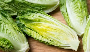 New Developments In Cyclospora, Salmonella Outbreaks: What To Know In FL