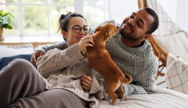 3 FL Cities Among The 'Most Pet-Friendly' In The U.S., New Ranking Says