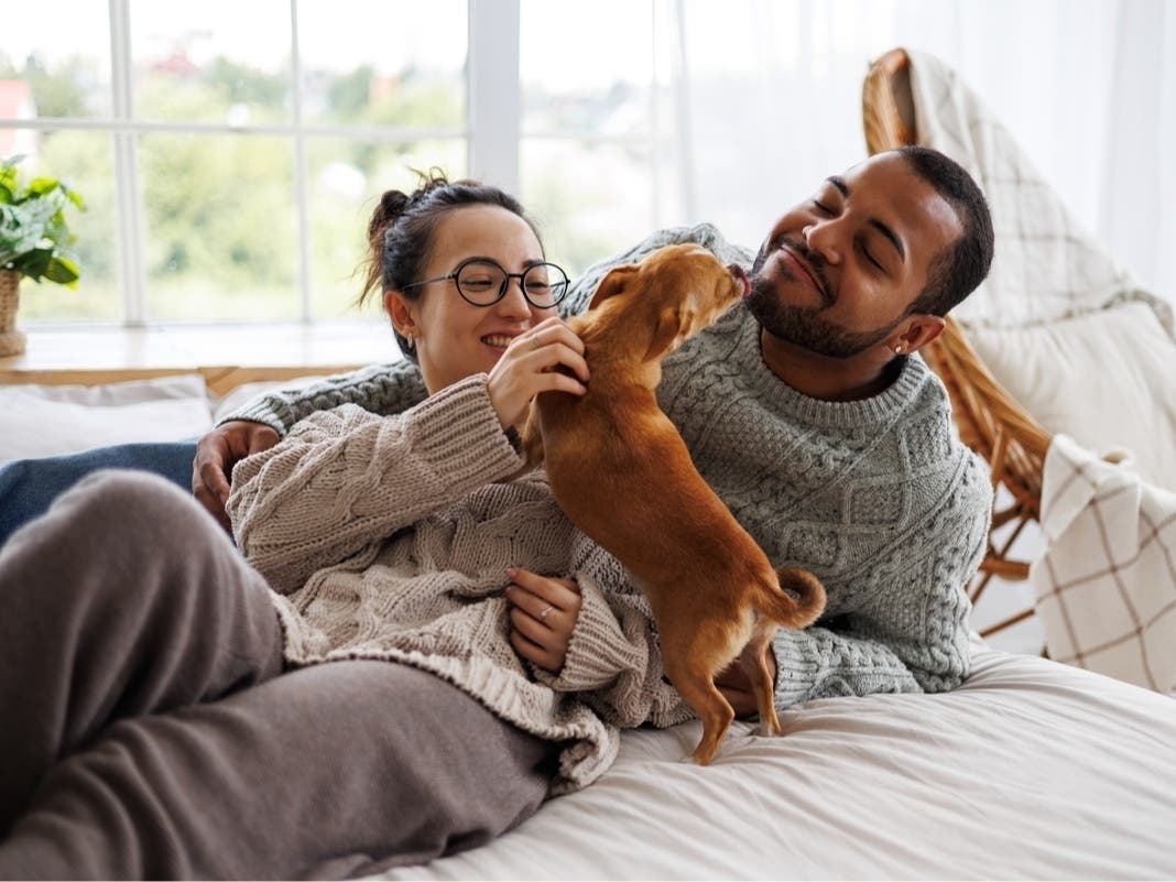 3 FL Cities Among The 'Most Pet-Friendly' In The U.S., New Ranking Says
