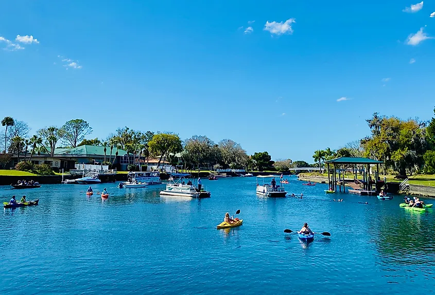 People enjoying aquatic activities in Crystal River, Florida