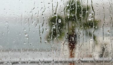 Here's How Strengthening El Niño Could Shape Next Winter In FL