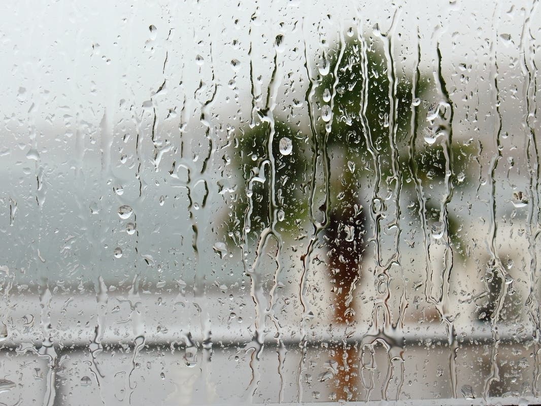 Here's How Strengthening El Niño Could Shape Next Winter In FL