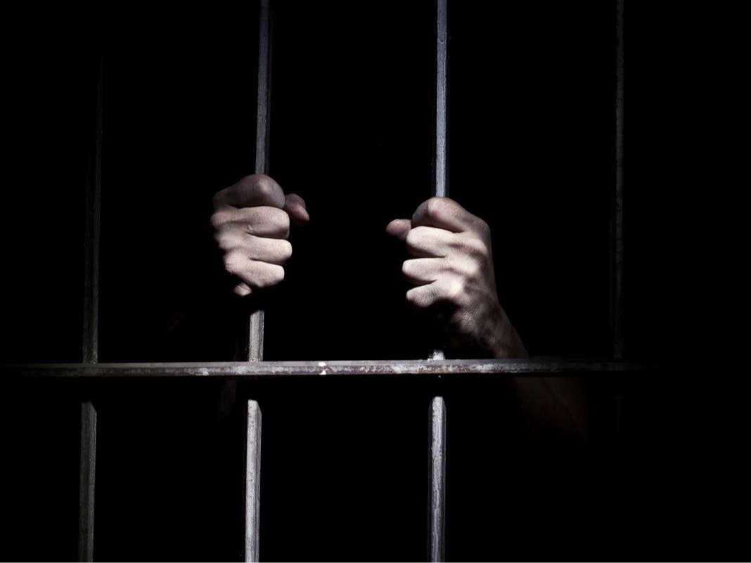 116 Arrested, 5 Human Trafficking Victims Recovered In Hillsborough County Operation