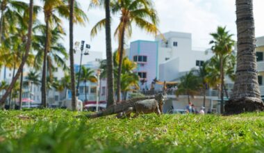 Miami just smashed a 117-year-old temperature record