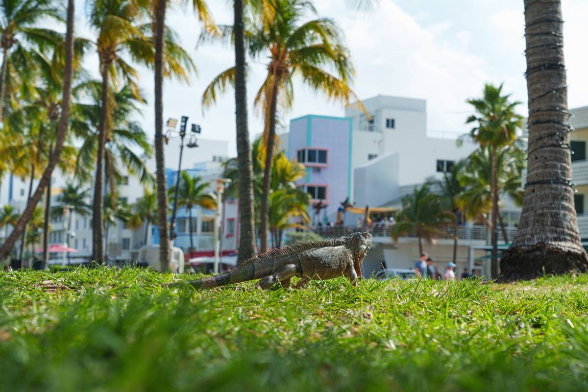 Miami just smashed a 117-year-old temperature record
