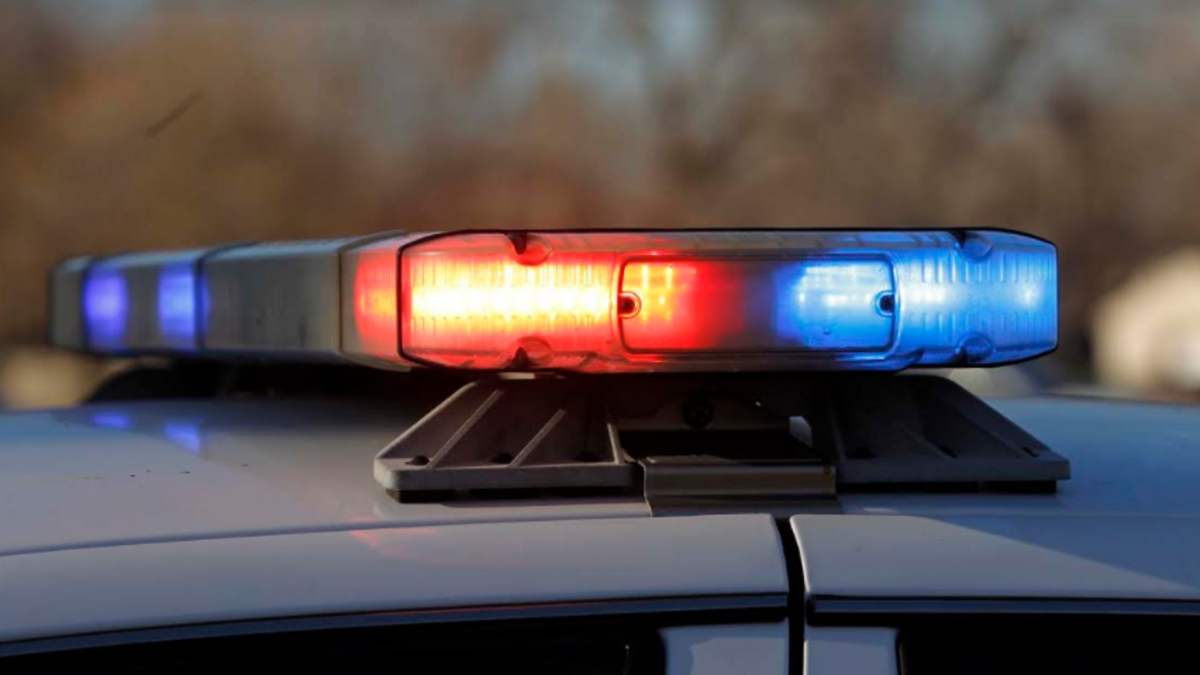 Texas teacher arrested after leaving foster sons alone