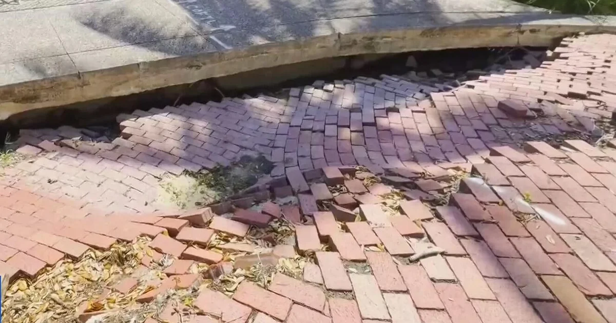 Fort Lauderdale's collapsed Riverwalk section barricaded as seawall repairs won't start until 2027