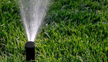 South Florida residents limited to 2 days a week for lawn watering under year-round rules