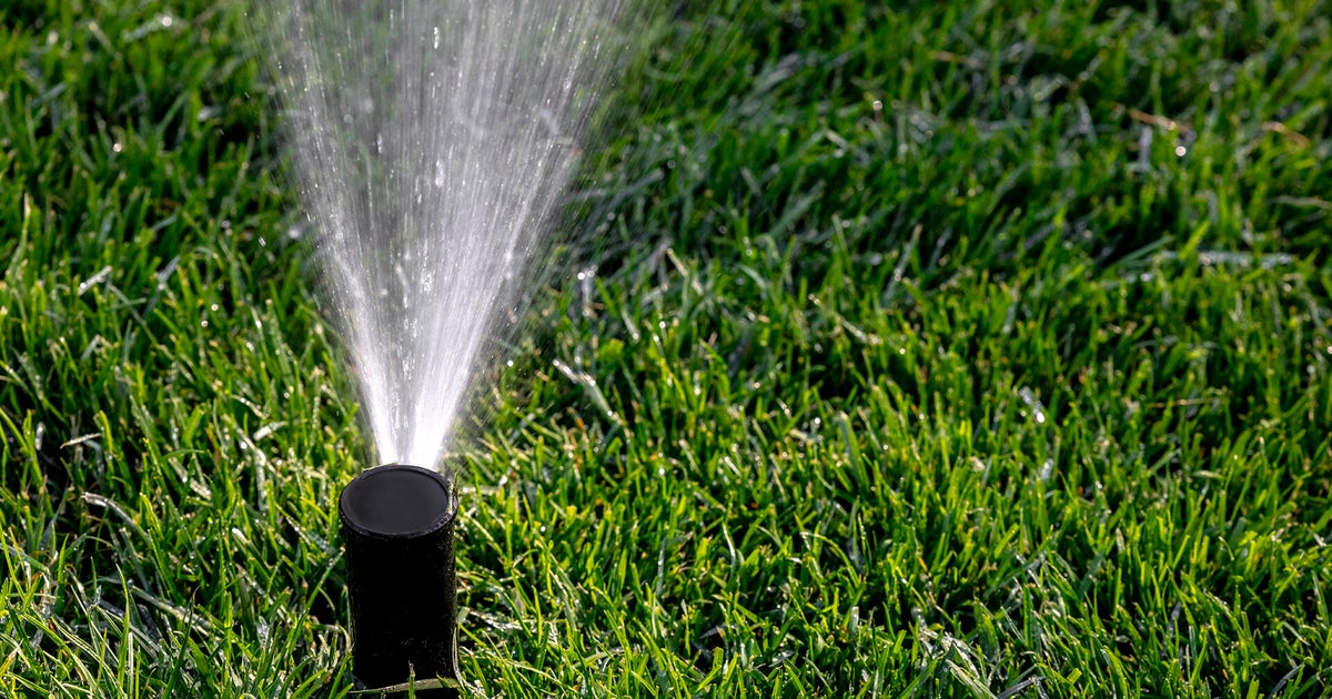 South Florida residents limited to 2 days a week for lawn watering under year-round rules