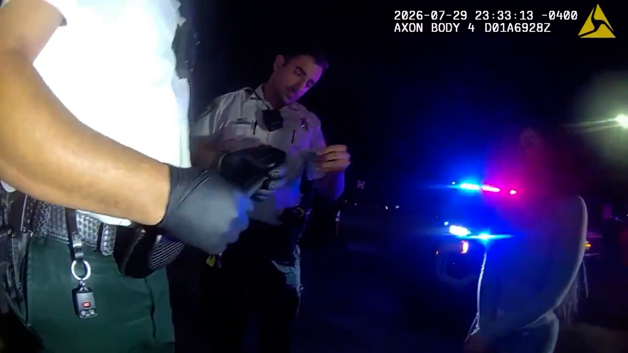 Hillsborough 12 fake IDs (Hillsborough County Sheriff's Office)