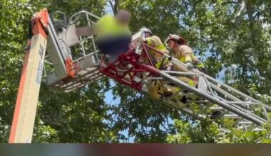 Firefighters rescue man stuck 40 feet in air in Stuart