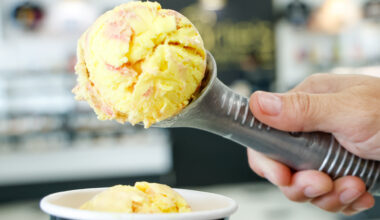 Pictures: Choose the new ‘Sentinel’s 150 Scoop’ ice cream flavor – Orlando Sentinel