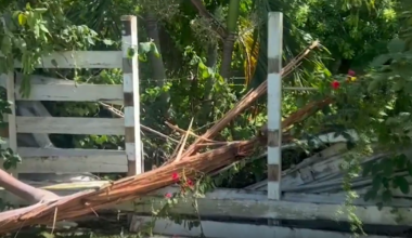 Miami-Dade family opens up about close call after lightning strikes tree at their home
