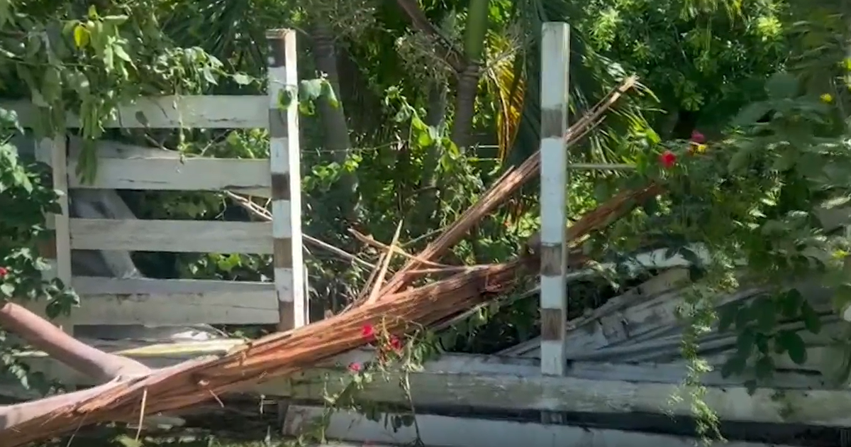 Miami-Dade family opens up about close call after lightning strikes tree at their home