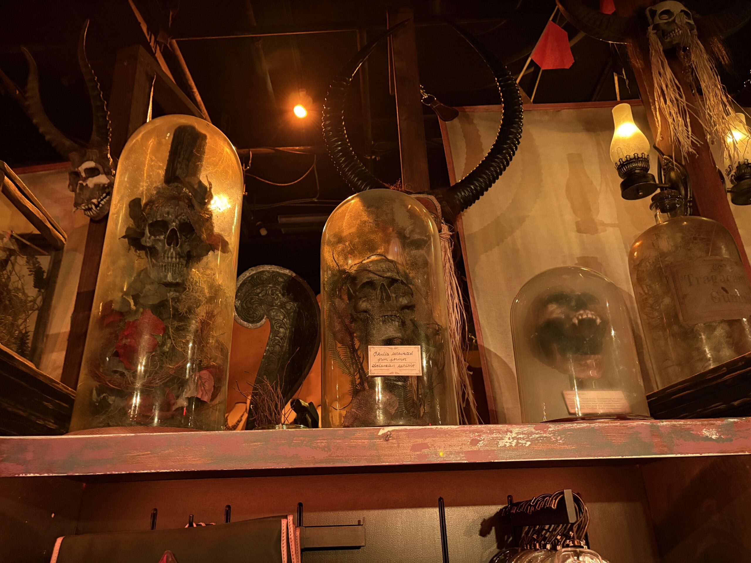 The Halloween Horror Nights 35 Tribute Store opened on August 25, providing a themed experience for purchasing event merchandise. The store is located next to Revenge of the Mummy and will be open all day to all guests, not just during HHN events.