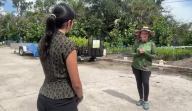Martin County community rallies to restore mangrove island on St. Lucie River