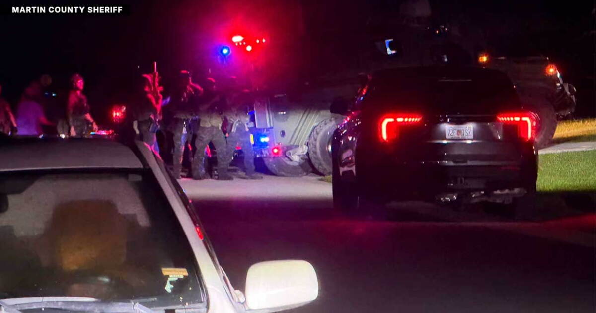 2 teens accused of 15 burglaries and gun thefts