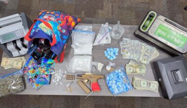 Man arrested after deputies find drugs, gun and cash during Tampa raid: HCSO