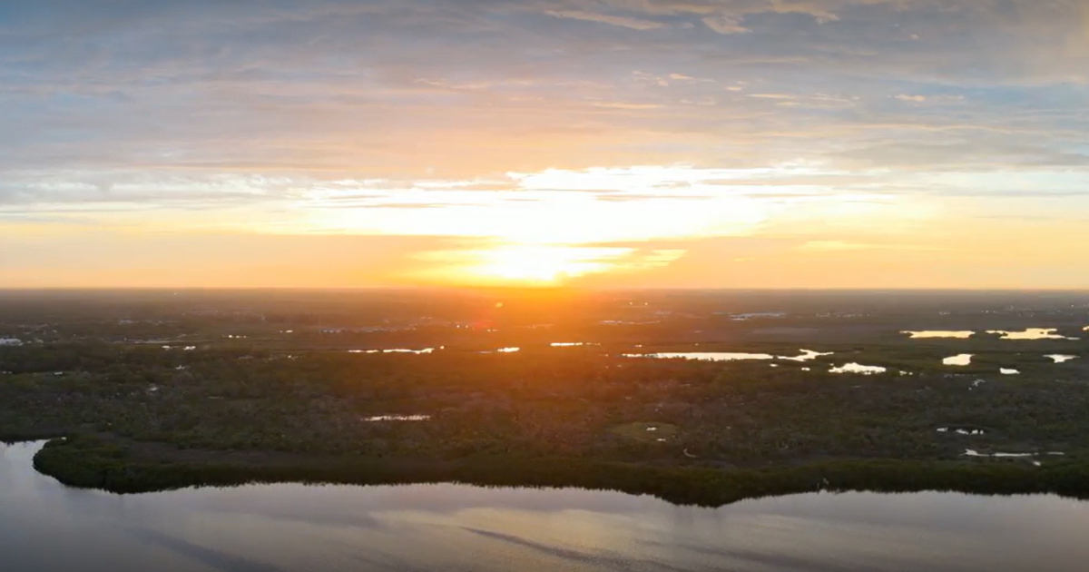 Town 'n' Country: Tampa's hidden gem of diversity and pride