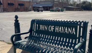Havana Woodfest returns in two weeks to celebrate local craftsmanship