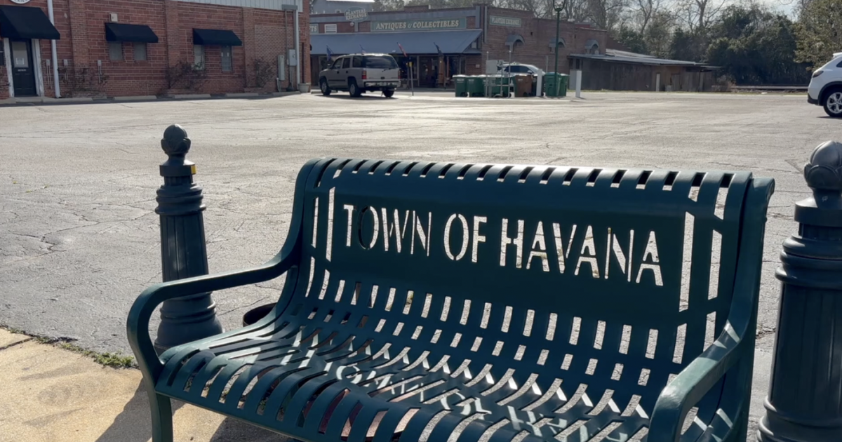 Havana Woodfest returns in two weeks to celebrate local craftsmanship