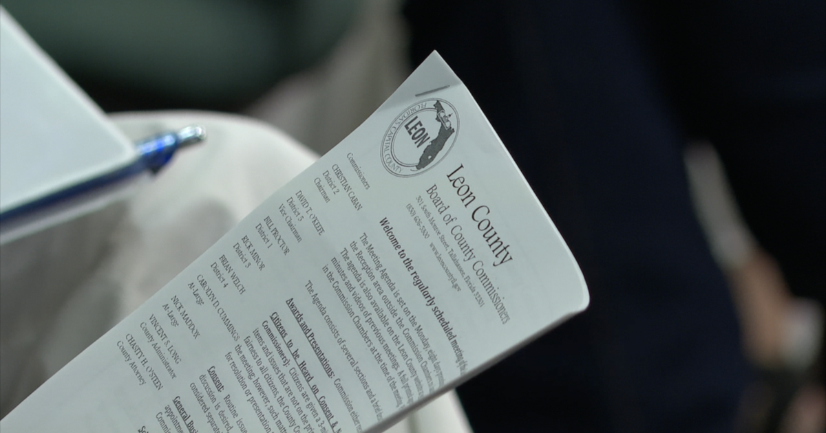 Leon County voters to decide on Historic Harms charter amendment this November