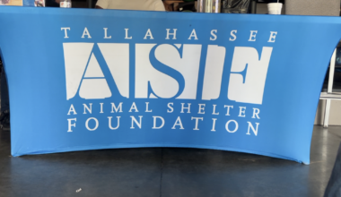 Spare a Life fundraiser highlights the impact of adopting shelter animals