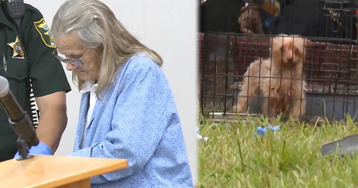 Martin County animal hoarding case ends in no contest plea