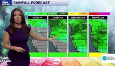 Forecast: Hot week ahead in Tampa
