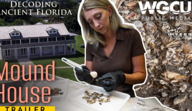 'Decoding Ancient Florida': New WGCU series reveals the overlooked history of Calusa sites | WGCU News