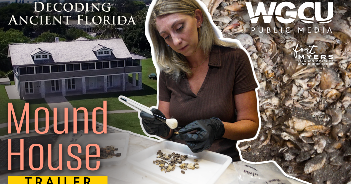 'Decoding Ancient Florida': New WGCU series reveals the overlooked history of Calusa sites | WGCU News