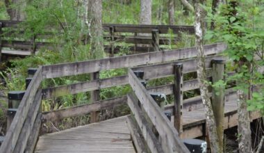 Six Mile Cypress Slough Preserve boardwalk maintenance work rescheduled | WGCU News